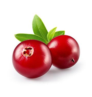 cranberry 